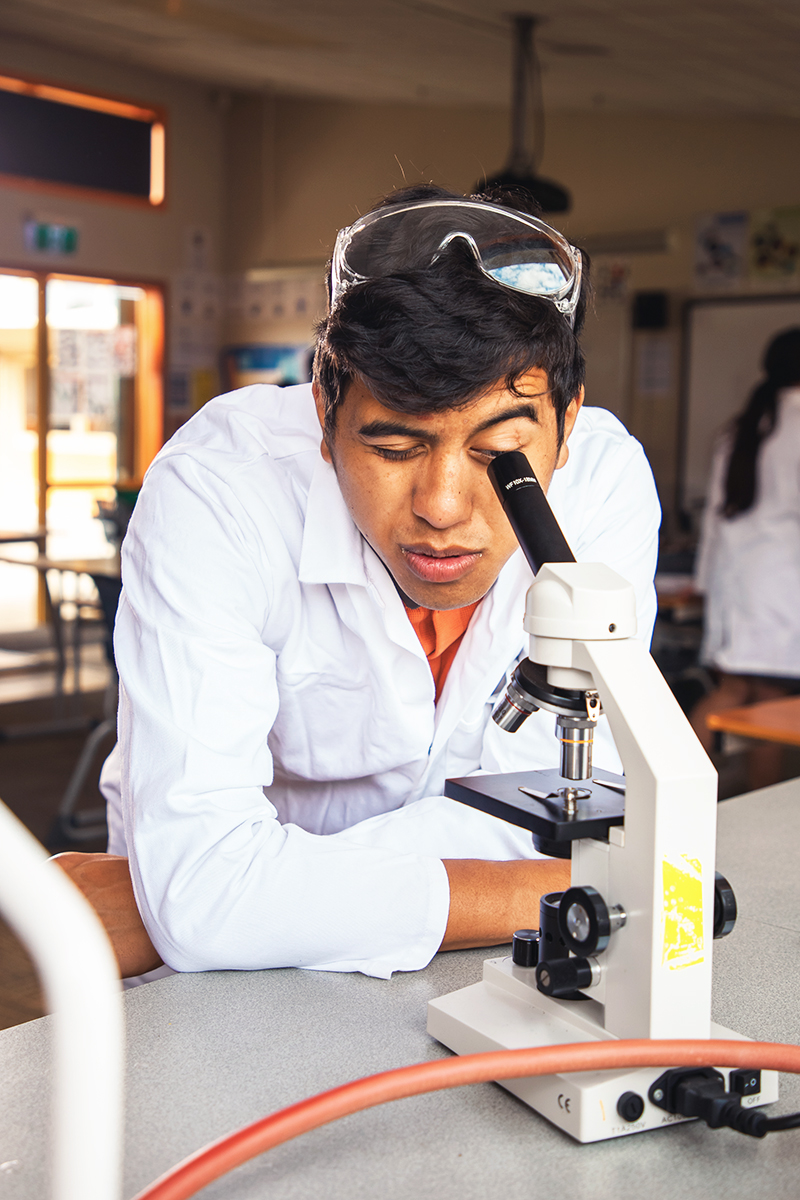 Tane looks down a microscope