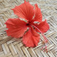 Hibiscus flower rests on a woven mat