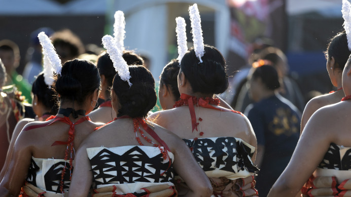 A group of performers at Polyfest
